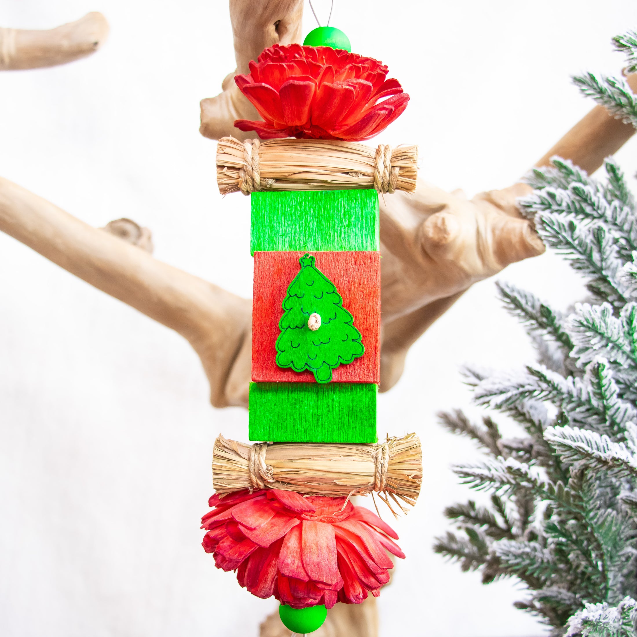 Santa’s Memory - Christmas Collection