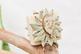 Load image into Gallery viewer, Seally Footsie - Foot Toy
