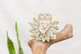 Load image into Gallery viewer, Seally Footsie - Foot Toy
