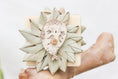 Load image into Gallery viewer, Seally Footsie - Foot Toy
