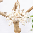 Load image into Gallery viewer, Springtime Florals - Bunny Bloom Collection
