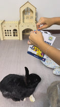 Load and play video in Gallery viewer, Nature's Bites - No Furries Delights - Bite-Sized Treats
