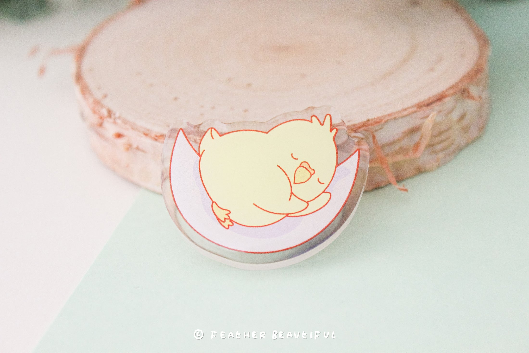 Sleeping Cockatiel - Acrylic Pin