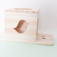 Load image into Gallery viewer, Bird Hut - Hut
